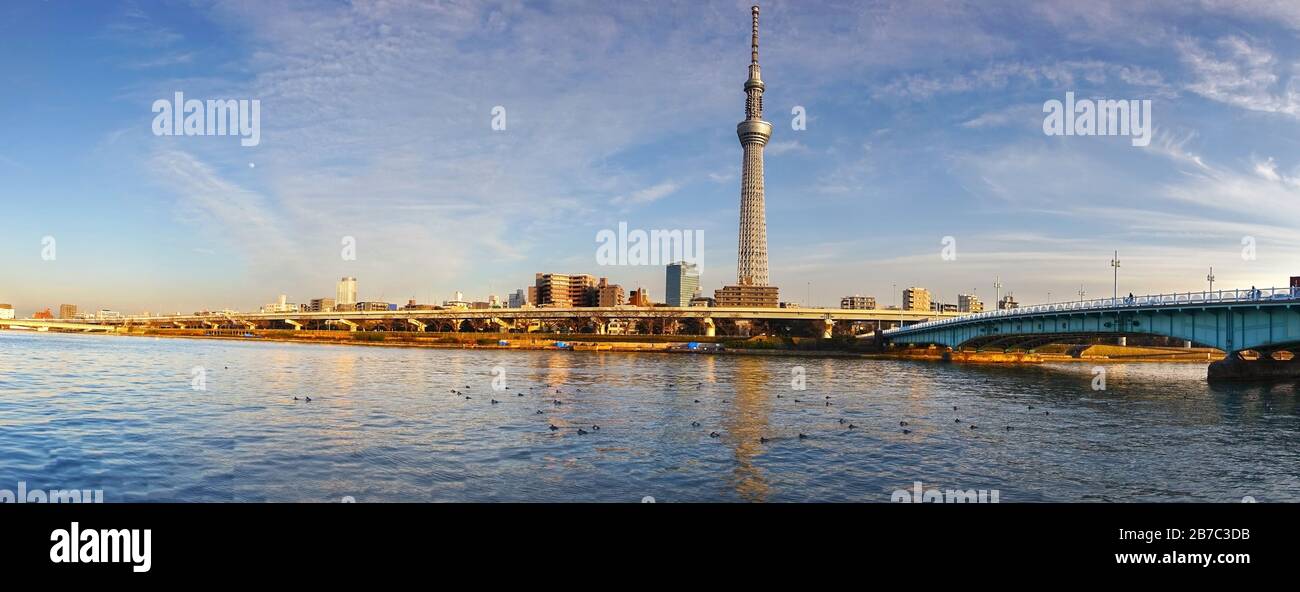 Ampio skyline panoramico della città giapponese di Tokyo dal quartiere di Asakusa con Ponte sul Fiume Sumida e in lontananza Skytree, la Torre più alta del mondo, su Horizon Foto Stock