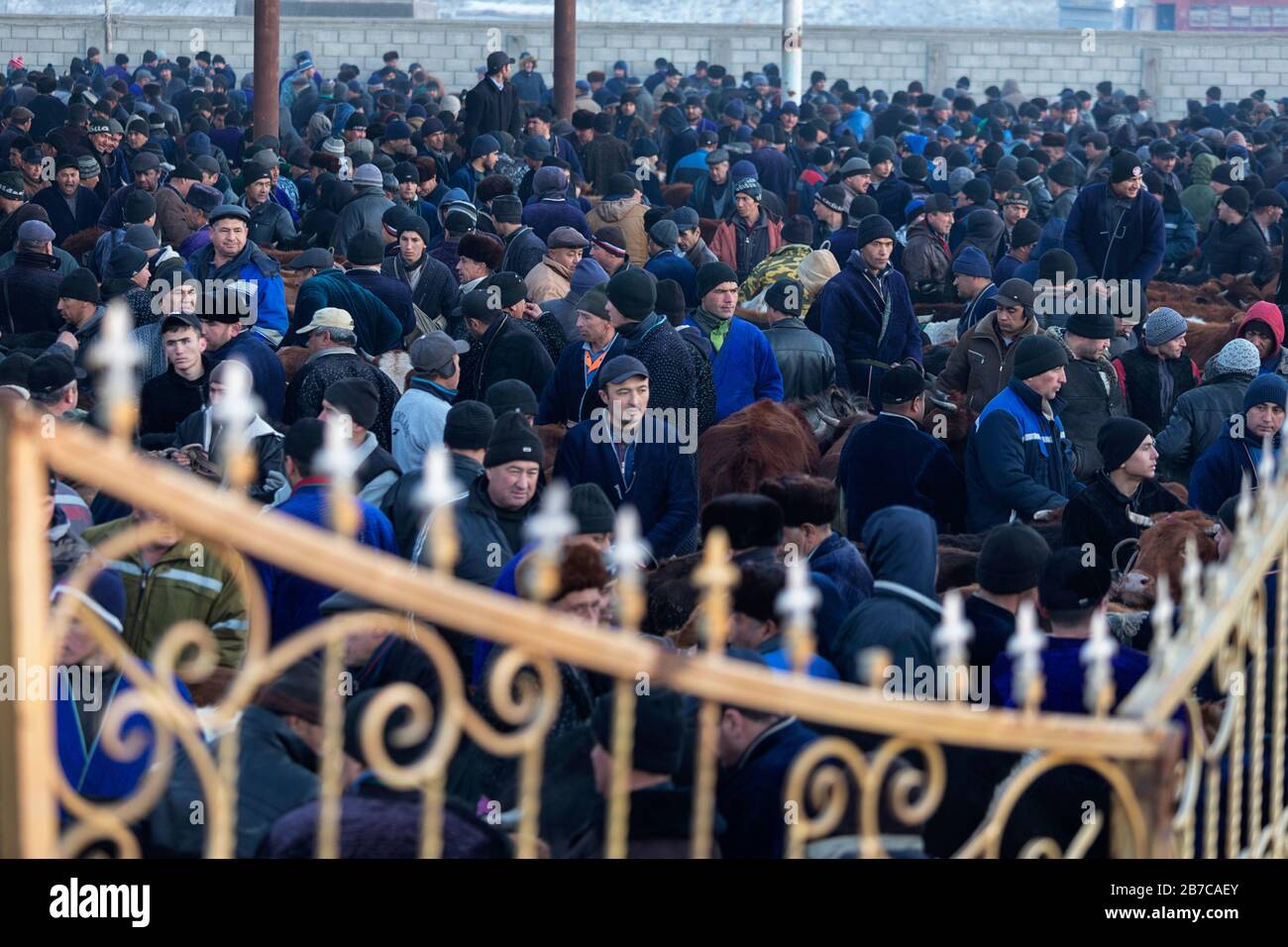Scena sul mercato del bestiame mattutino in un villaggio vicino a Bukhara, Uzbekistan Foto Stock