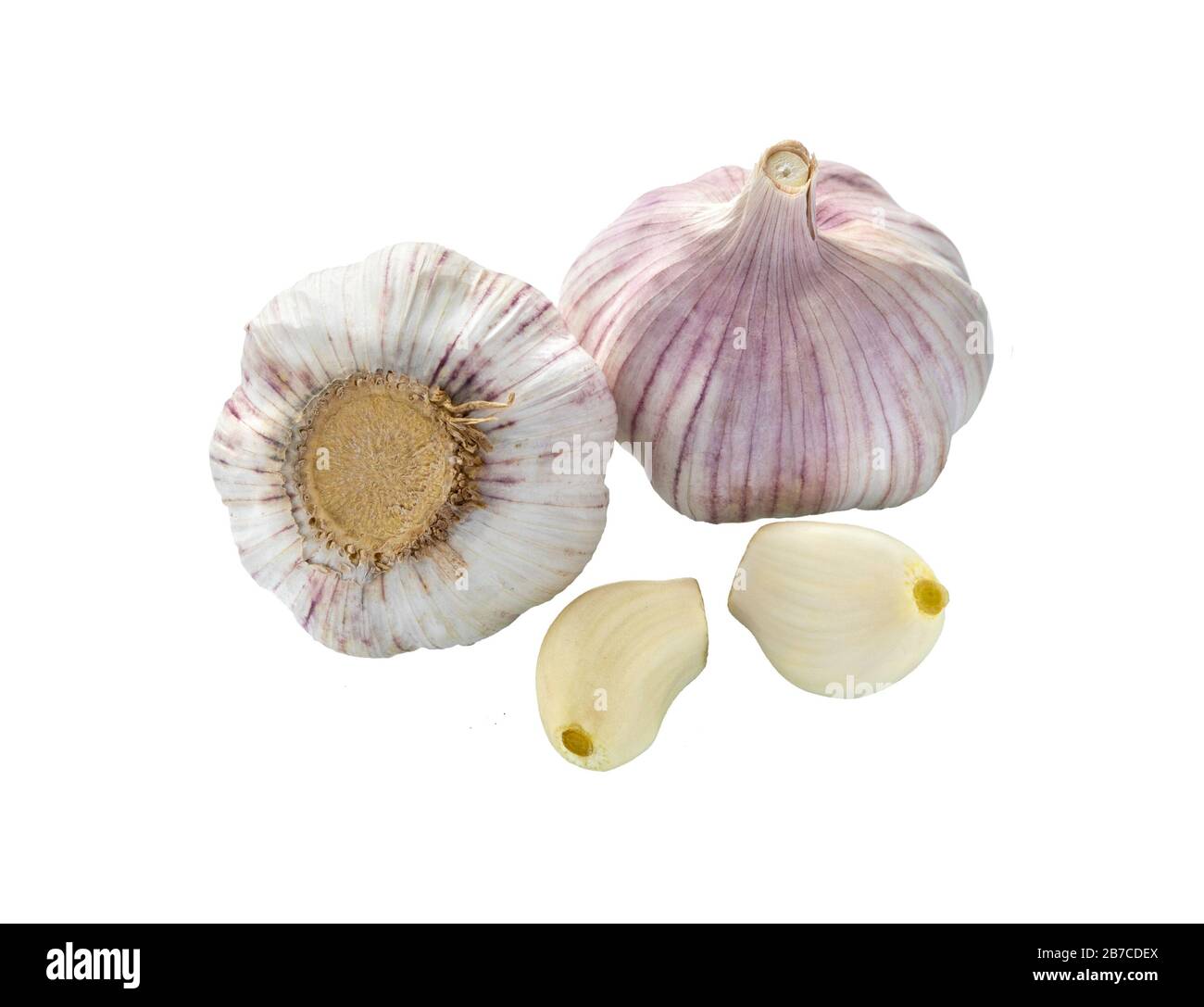 Aglio isolato su sfondo bianco primo piano. Aglio crudo con spicchio. Bulbo d'aglio. Foto Stock