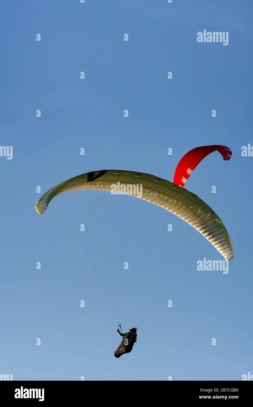 Due parapendio che volano in un cielo blu. Foto Stock