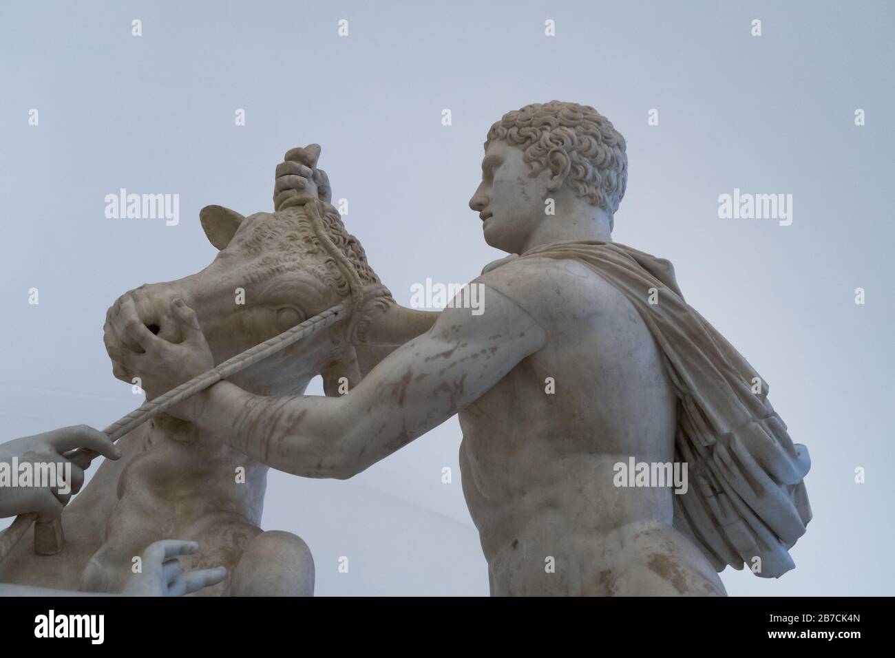 Una statua marmorea della Toro Farnese conosciuta anche come la Bolla Farnese al Museo Archeologico Nazionale di Napoli in Italia Foto Stock