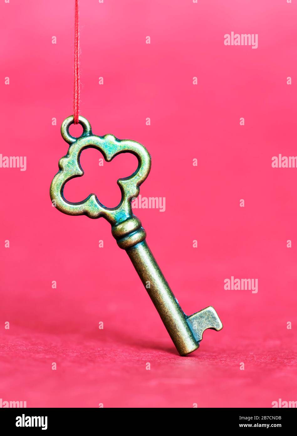 Immobiliare, nuova casa honcept, chiave d'oro appeso su uno sfondo rosa Foto Stock