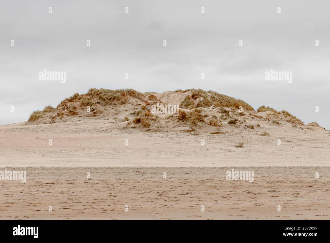 Koksijde, Belgio - 26 febbraio 2020: Dune ricoperte di erba di dune Foto Stock