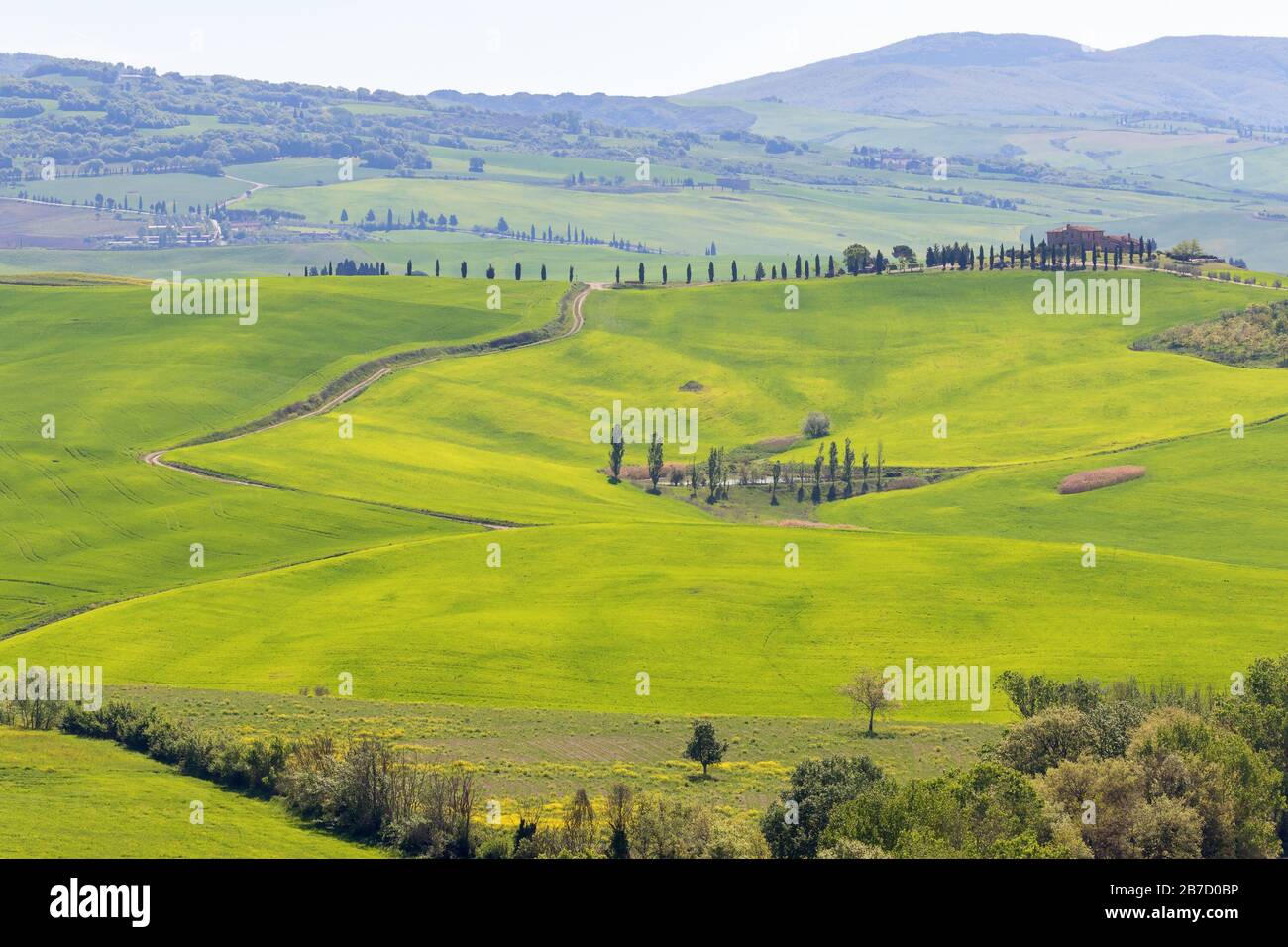 Piccolo stagno in un campo in un paesaggio rurale Foto Stock