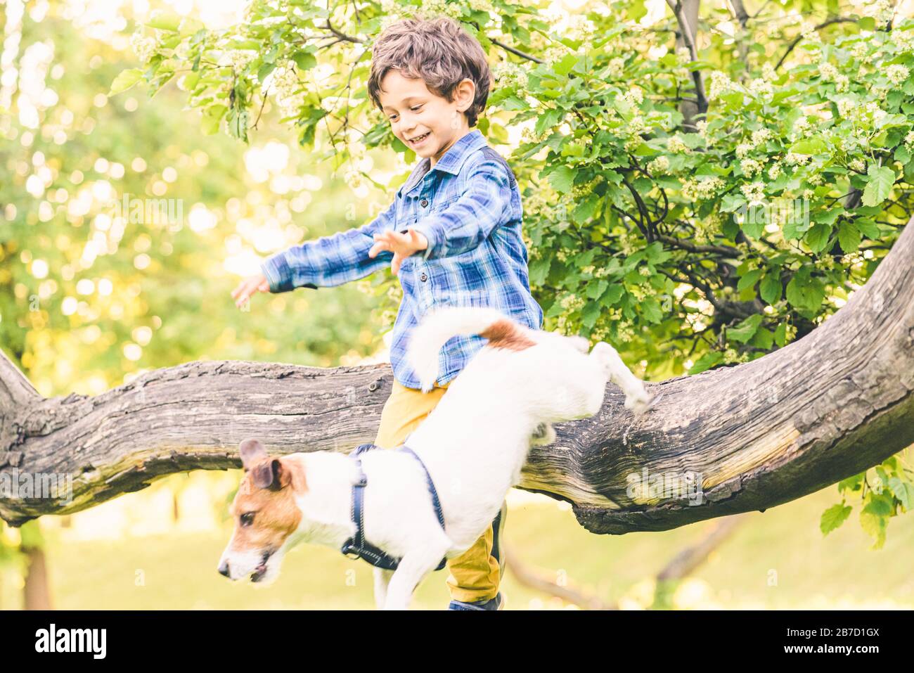 Ragazzo e cane che giocano insieme nel parco durante il bel tempo della primavera Foto Stock