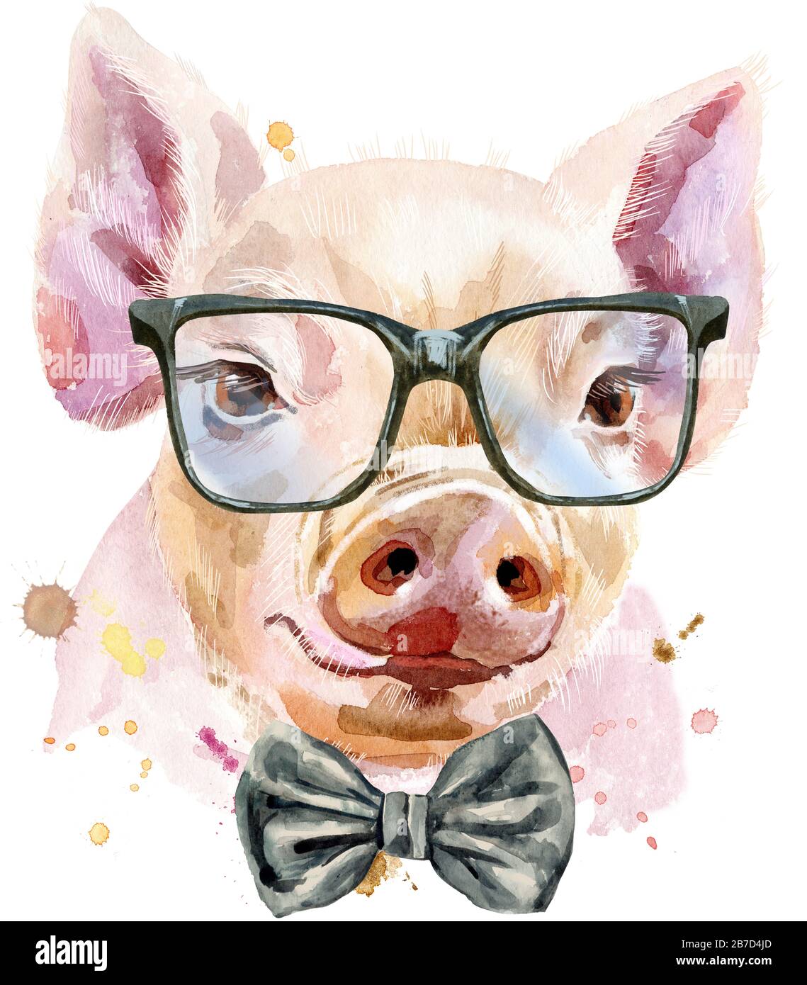 Ritratto acquerello di maiale con cravatta ad arco e bicchieri Foto stock -  Alamy