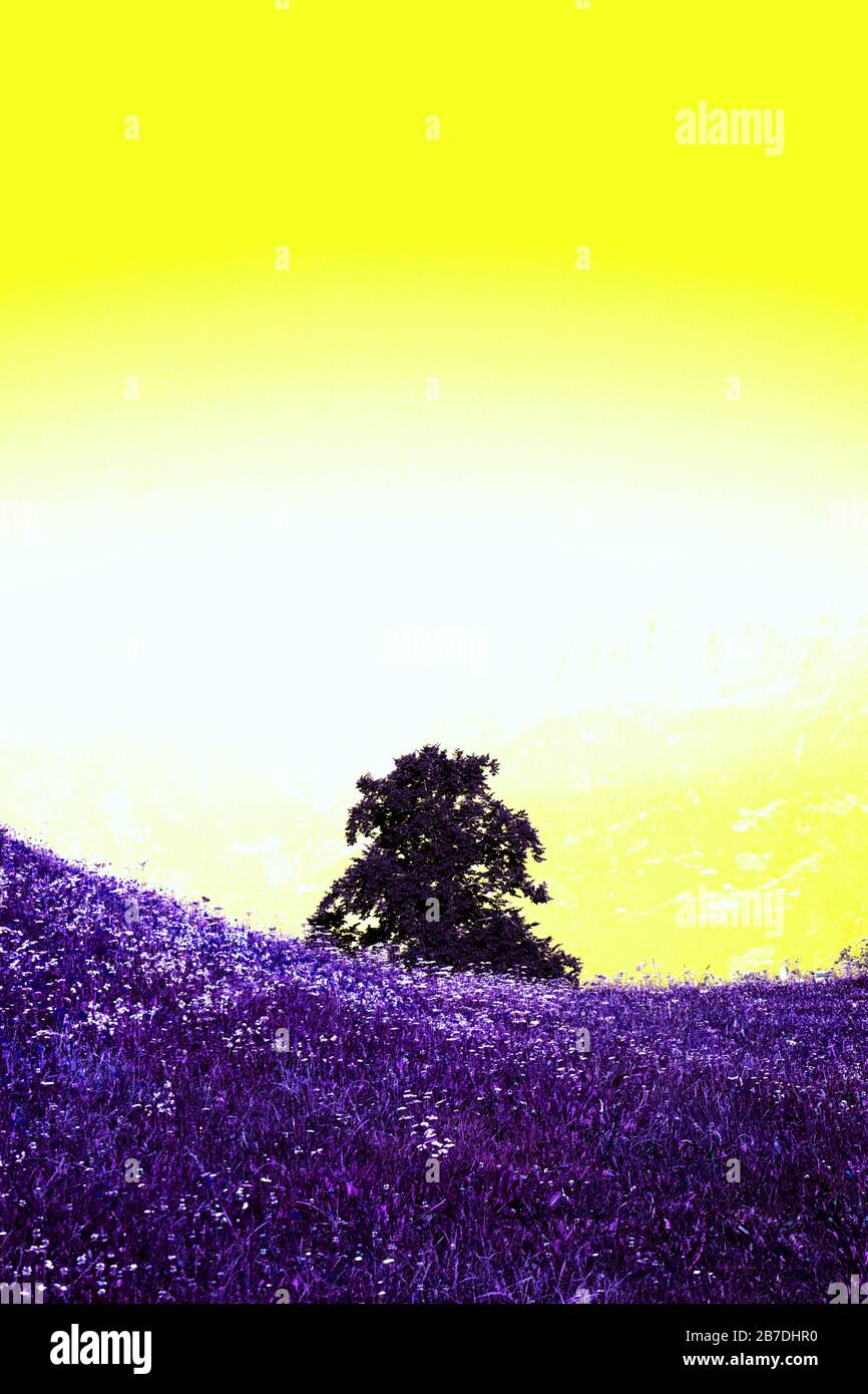 Colore manipolato illustrazione di prato e un albero sullo sfondo con giallo cielo irrealistico. Foto Stock