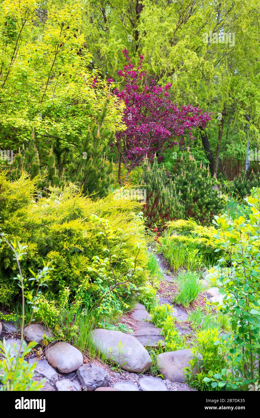Parte panoramica del parco pubblico, sentiero in pietra per passeggiate con foglie fresche e colorate, fiori luminosi su alberi e cespugli. Foto Stock