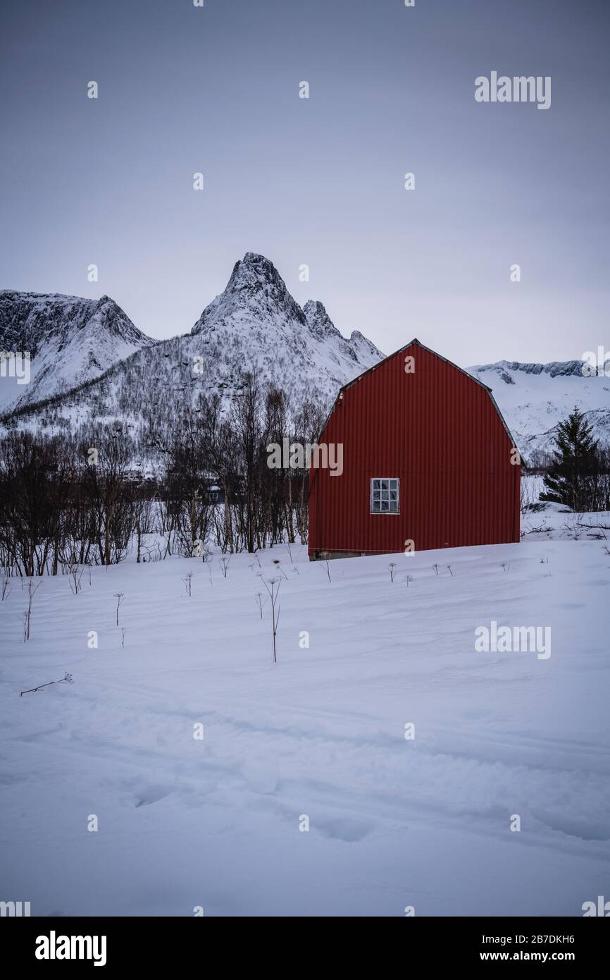 Monte Mykjetind in un paesaggio invernale a Senja, Norvegia. Foto Stock