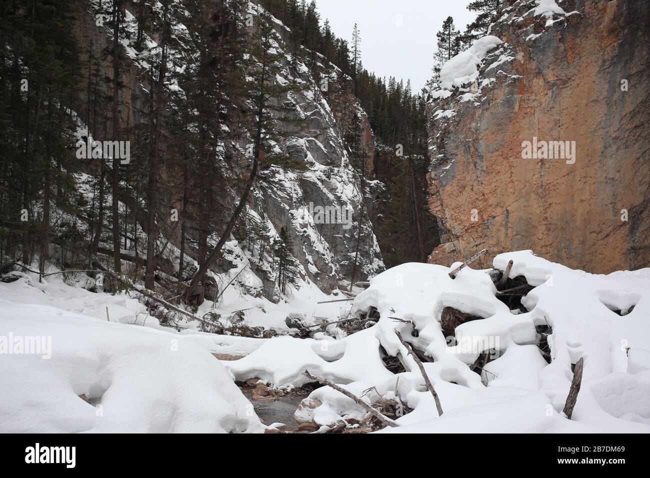 Canyon e fiumi di Alberta Foto Stock