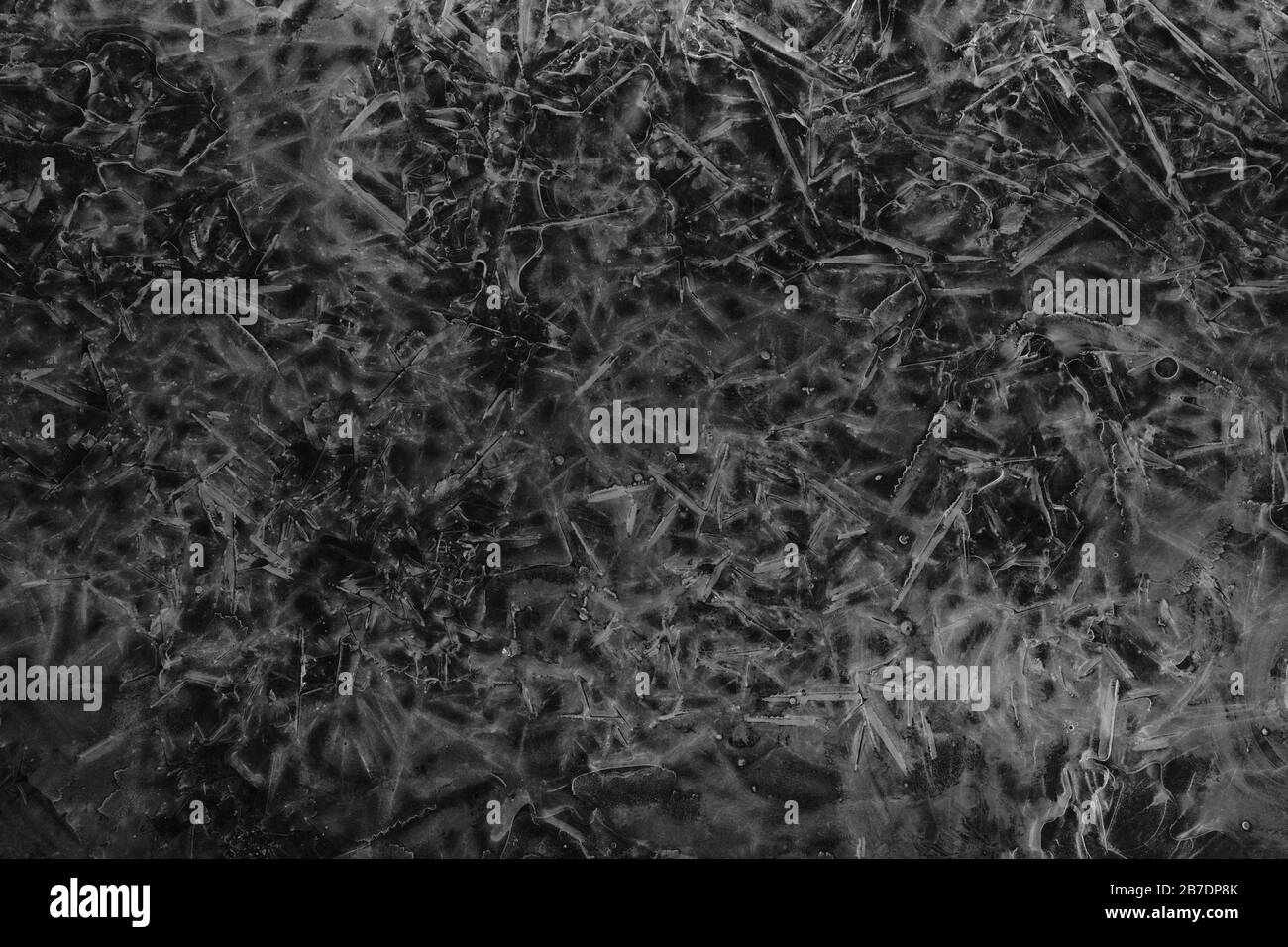 B&W scatto dei modelli in una pozzanghera di ghiaccio congelato alla base di un albero nel parco locale. Ottawa, Ontario, Canada. Foto Stock