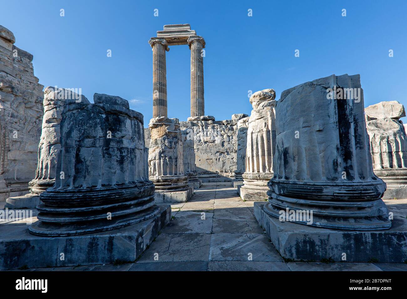 Rovine del Tempio di Apollo a Didyma, Aydin, Turchia Foto Stock