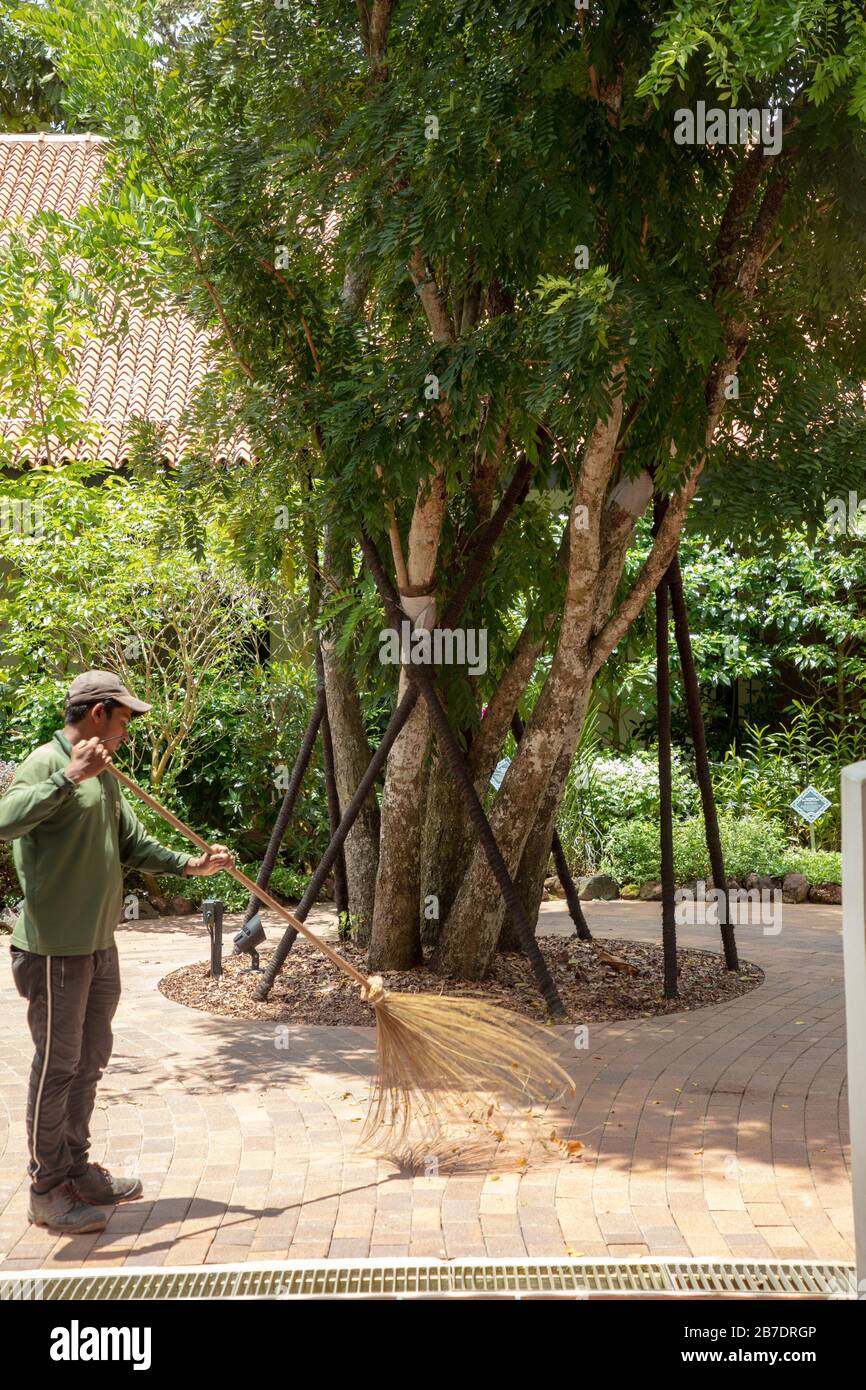 Giardinieri visti al lavoro nel Giardino Botanico di Singapore, Foto Stock