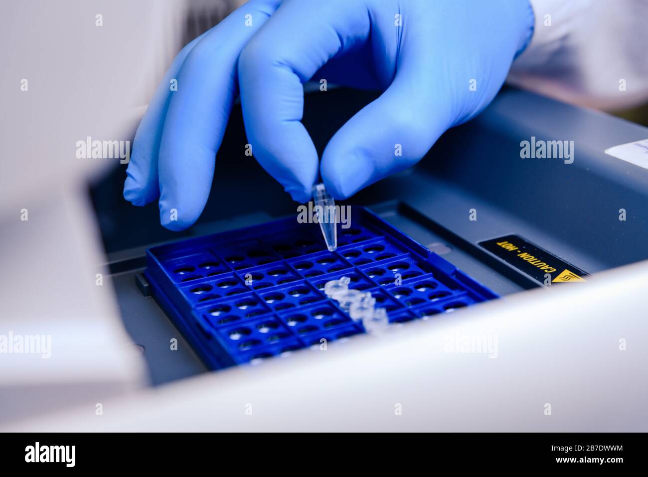 Caricamento di una provetta di DNA in una termociclatrice PCR (reazione a catena della polimerasi) in un laboratorio di bioscienza. Concetto di scienza, laboratorio e studio di Foto Stock