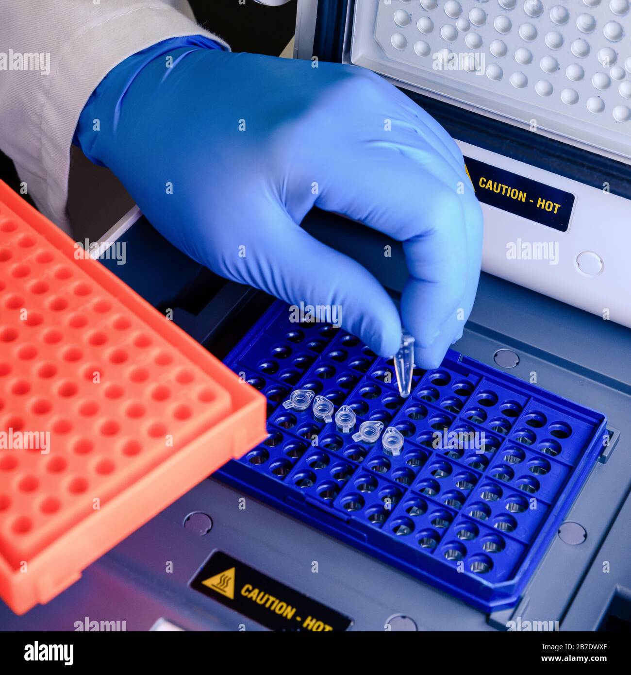 Caricamento di una provetta di DNA in una termociclatrice PCR (reazione a catena della polimerasi) in un laboratorio di bioscienza. Concetto di scienza, laboratorio e studio di Foto Stock
