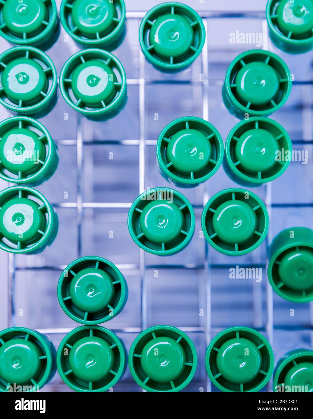 Provette in rack, vista dall'alto. Concetto di scienza, laboratorio e studio delle malattie. Foto Stock