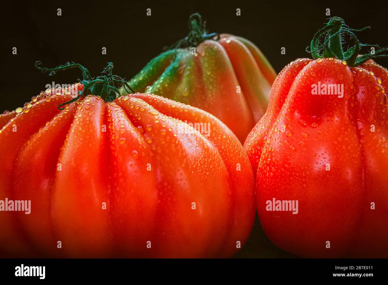 bellissimo bue maturo sentito pomodori con gocce d'acqua, primo piano Foto Stock