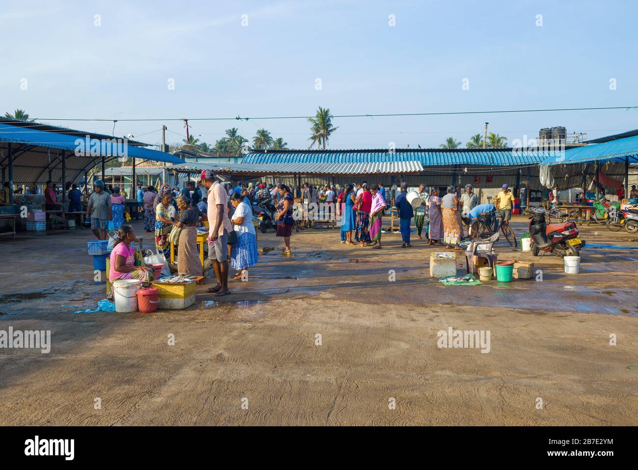 NEBOMBO, SRI LANKA - 03 FEBBRAIO 2018: Mattina sul mercato del pesce Foto Stock