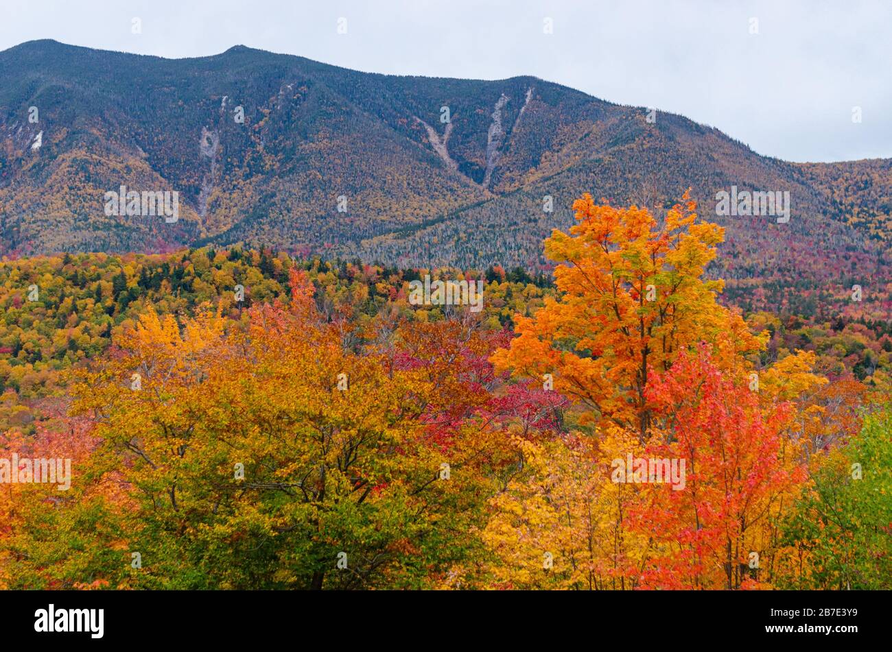 Splendidi colori autunnali visti dalla Kancamagus hwy nel New Hampshire USA Foto Stock