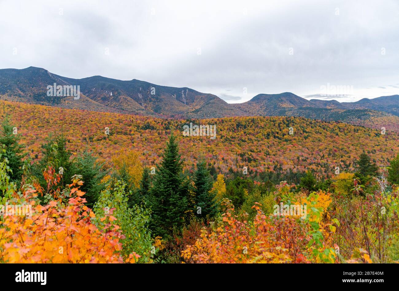 Splendidi colori autunnali visti dalla Kancamagus hwy nel New Hampshire USA Foto Stock
