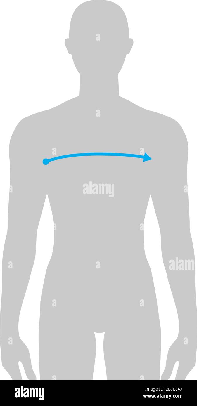 Uomini per fare x-front e x-back misurazione moda illustrazione per il grafico delle dimensioni. 7.5 testa taglia ragazzo per sito o negozio online. Modello infografico per il corpo umano per vestiti. Illustrazione Vettoriale