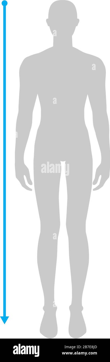 Uomini per fare la misurazione dell'altezza modo Illustrazione per il grafico delle dimensioni. 7.5 testa taglia ragazzo per sito o negozio online. Modello infografico per il corpo umano per vestiti. Illustrazione Vettoriale