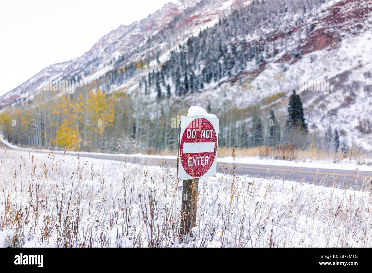 Paesaggio coperto di neve in Aspen, Colorado campane campane nell'ottobre 2019 e giallo alberi fogliame autunno e non entrare segno lungo la strada Foto Stock