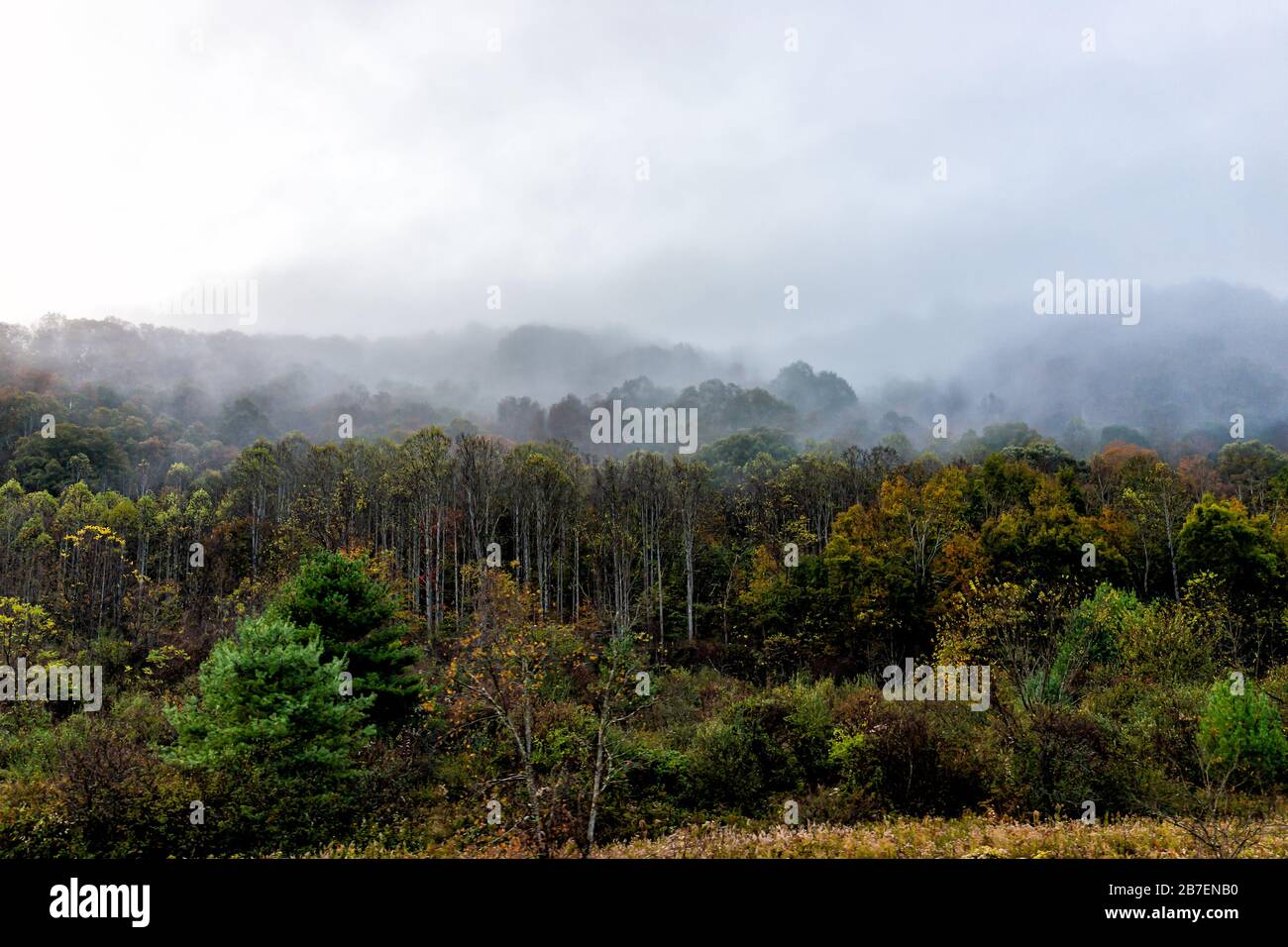 Nebbia nebbia che copre gli alberi della foresta nella campagna rurale in West Virginia vicino a New River Gorge in autunno mattina Foto Stock