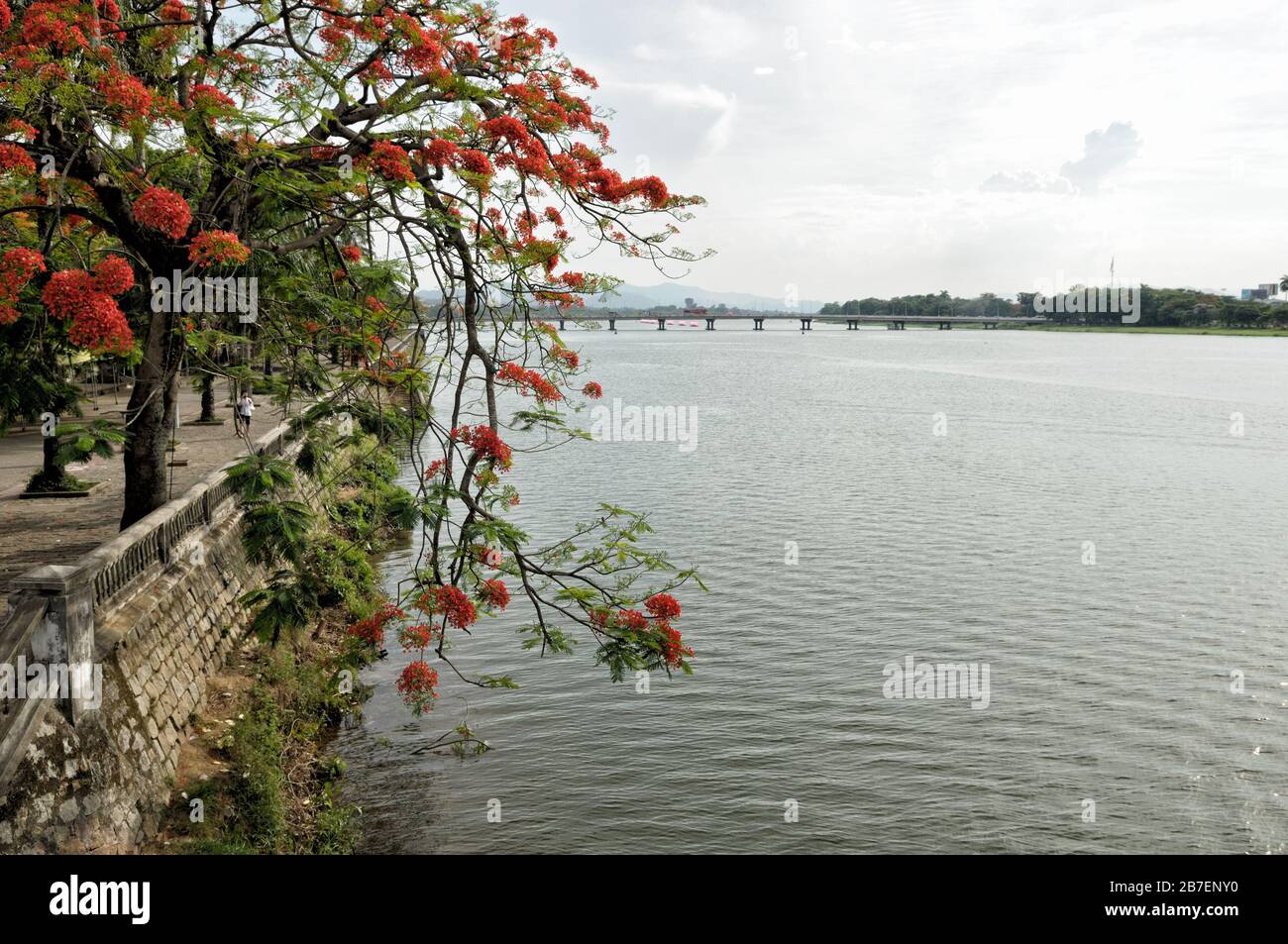 Banca del fiume Perfume a Hue, Vietnam Foto Stock