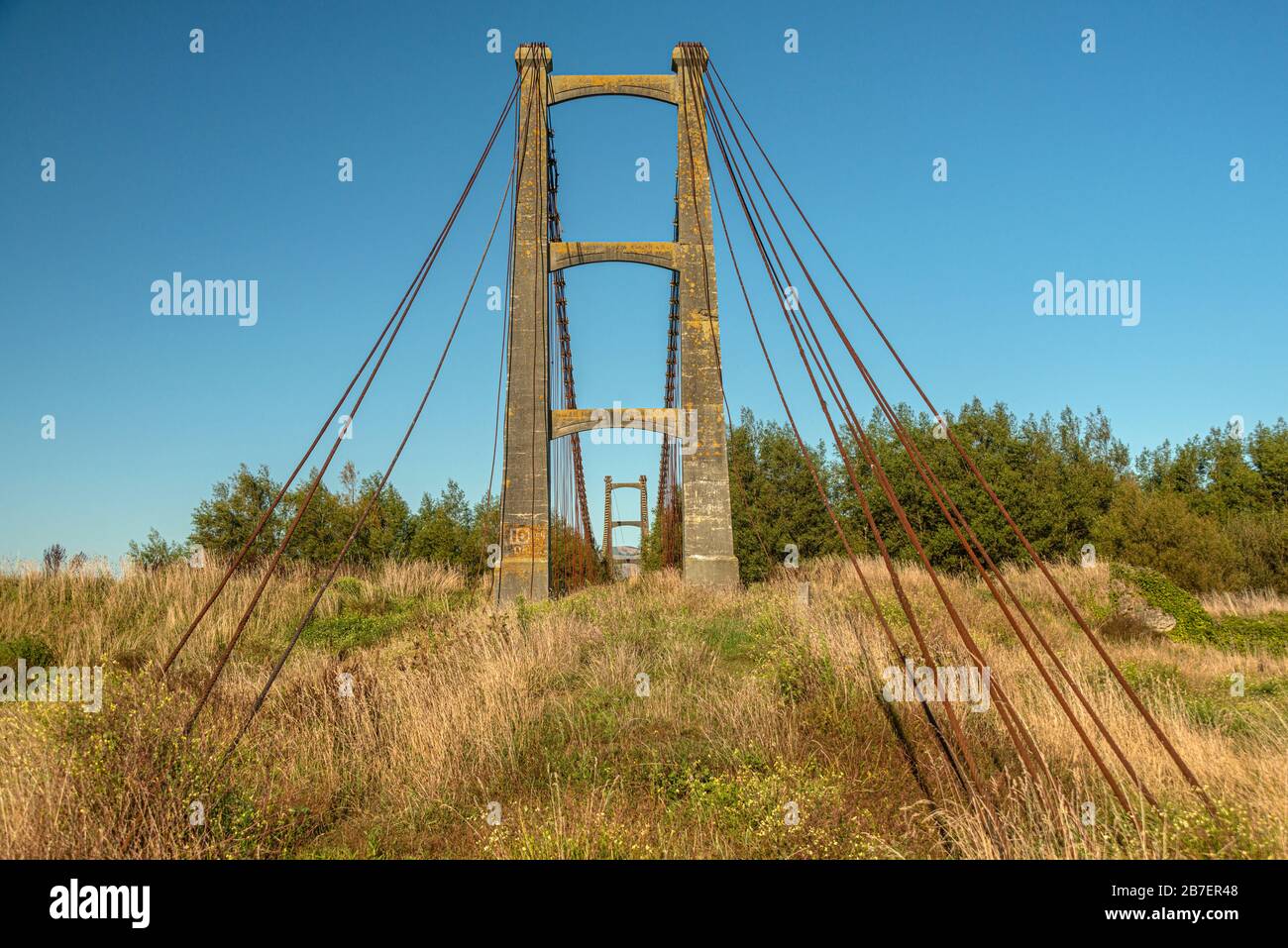 Il ponte a pedaggio Opiki abbandonato e cresciuto dall'industria del lino del 1800 sul fiume Manawatu, vicino a Palmerston North, Nuova Zelanda. Foto Stock