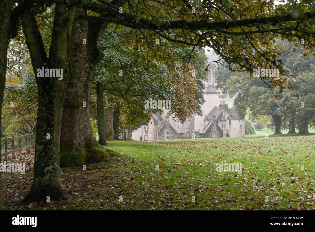 Alberi che si trovano lungo la vasta passeggiata in una mattinata d'autunno al Castle Fraser di Aberdeenshire Foto Stock