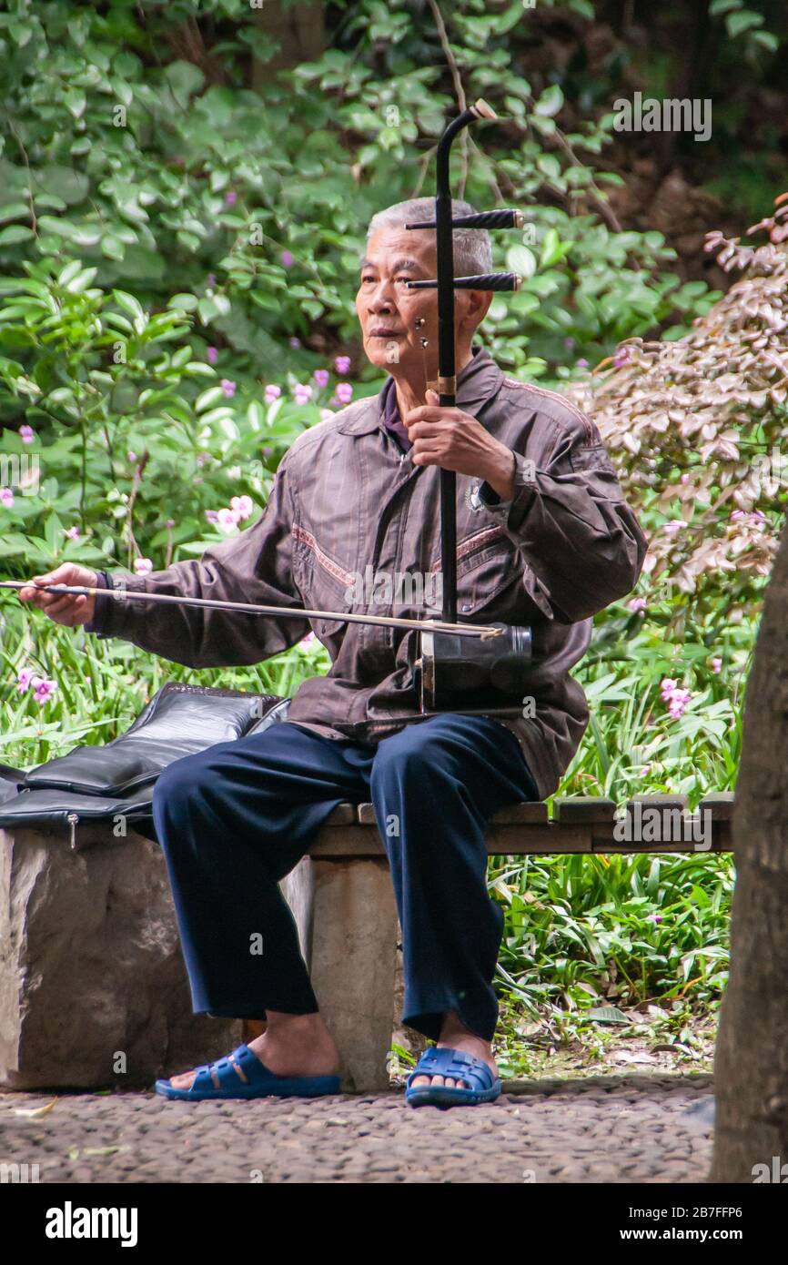 Guilin, Cina - 11 maggio 2010: Seven Star Park. L'uomo seduto sul banco gioca l'erhu o il violino cinese. Fogliame verde nella parte posteriore. Foto Stock