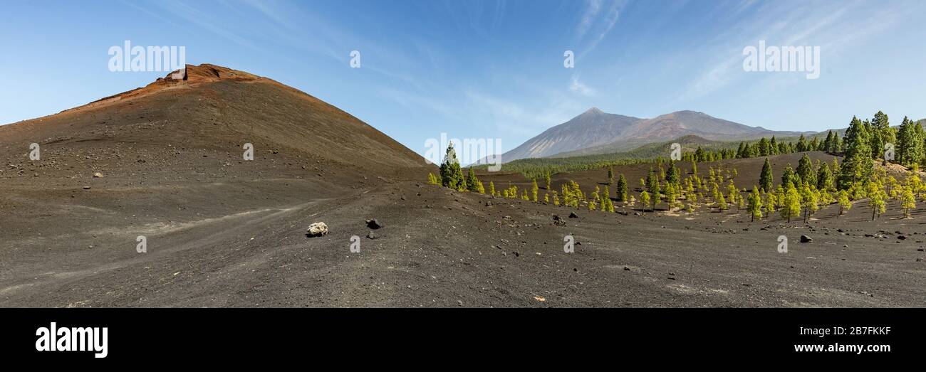 Super ampia vista panoramica del vulcano Arenas Negras e dei campi di lava intorno. Cielo blu brillante e nuvole bianche. Parco Nazionale del Teide con il vulcano Teide in Foto Stock
