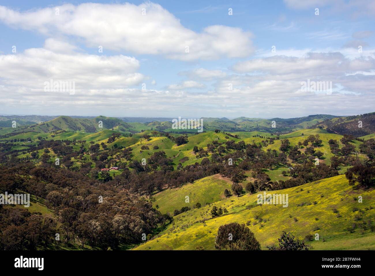 Le colline ondulate dal punto panoramico Murchison, alta campagna vittoriana Foto Stock