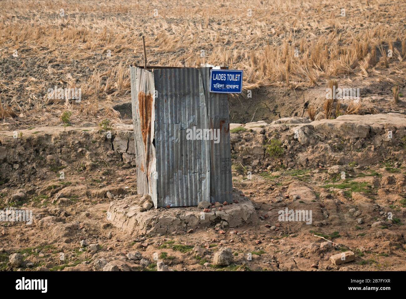 un bagno Pit in un villaggio rurale di Khulna, Bangladesh. Questo gabinetto è stato costruito da una comunità di villaggio all'interno di un campo di risaie come la latrina principale. Foto Stock