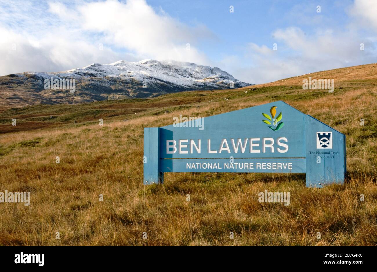 Ben Lawers Nature Reserve, Scozia Foto Stock