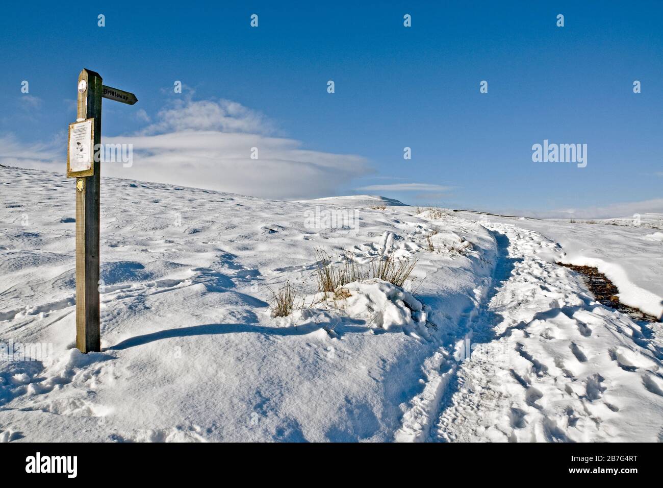 Pedane nella neve. Swaledale, North Yorkshire Foto Stock