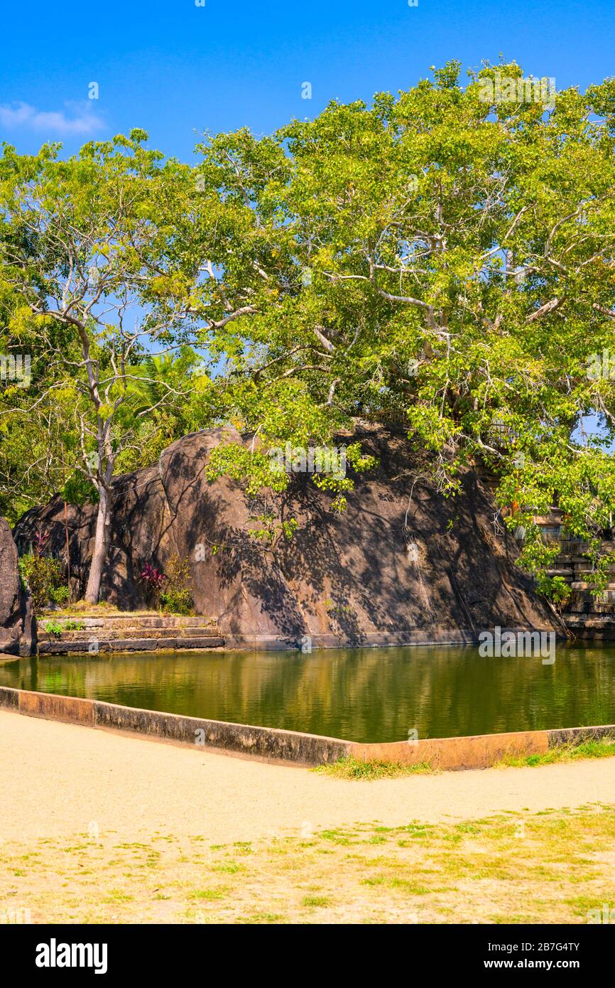 Sri Lanka Anuradhapura Isurumuni Tempio di roccia Monastero 3 AC costruito re Devanampiya Tissa sacro santuario piscina d'acqua serbatoio gneiss Boulder Foto Stock