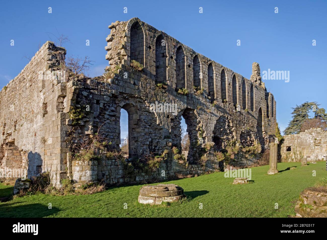 Le rovine di Jerveulx Abbey, Wensleydale Foto Stock