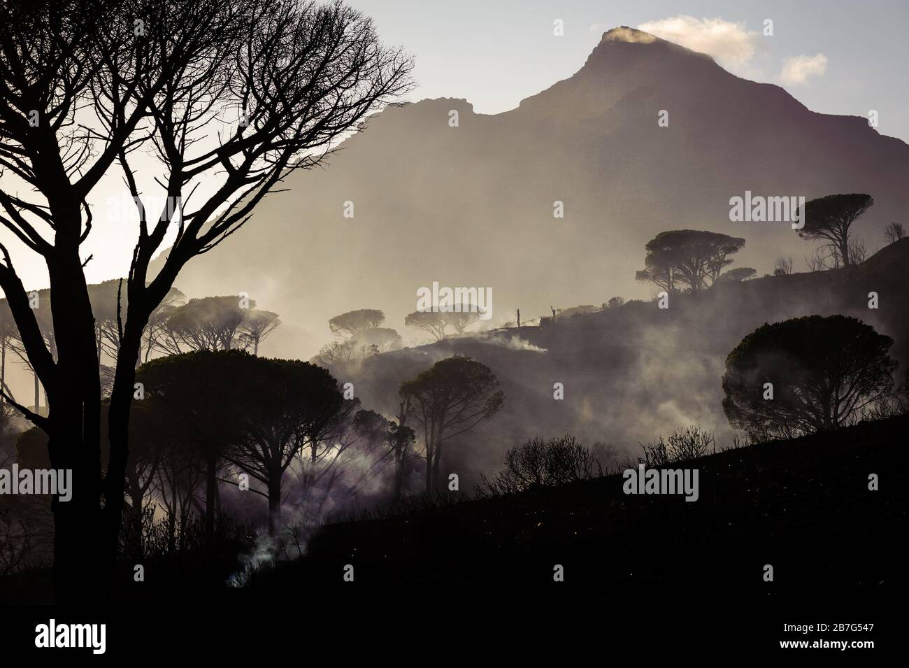 Le pendici della Table Mountain di Città del Capo e l'iconico monumento del Sud Africa affolano da un incendio selvaggio la mattina dopo un incendio di cespuglio Foto Stock