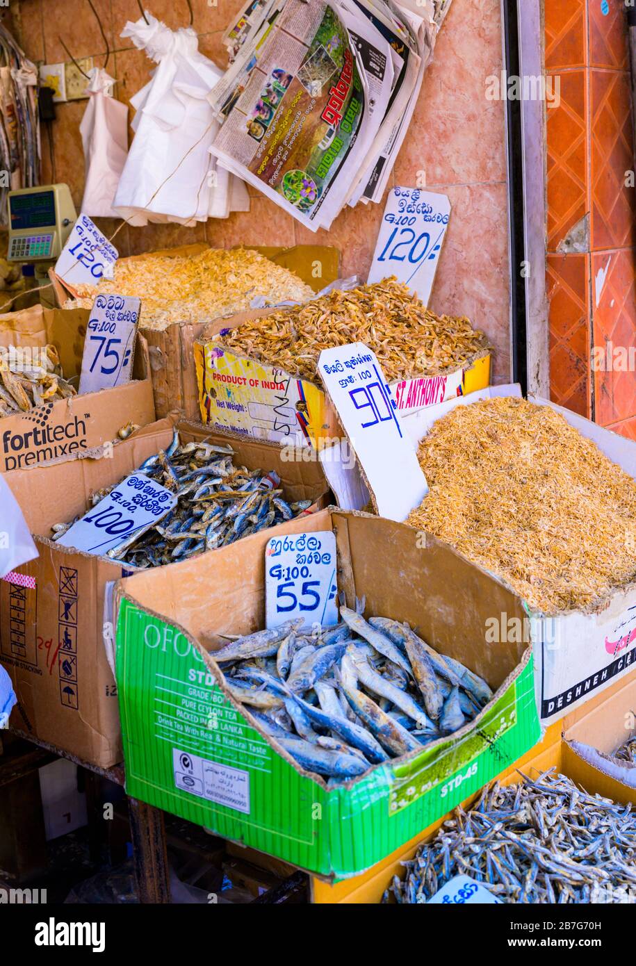 Asia meridionale Sri Lanka Kandy Sinhala Provincia Centrale antica capitale centro città centro strada mercato scena negozio negozio di pesce secco salato scatola di cartone Foto Stock