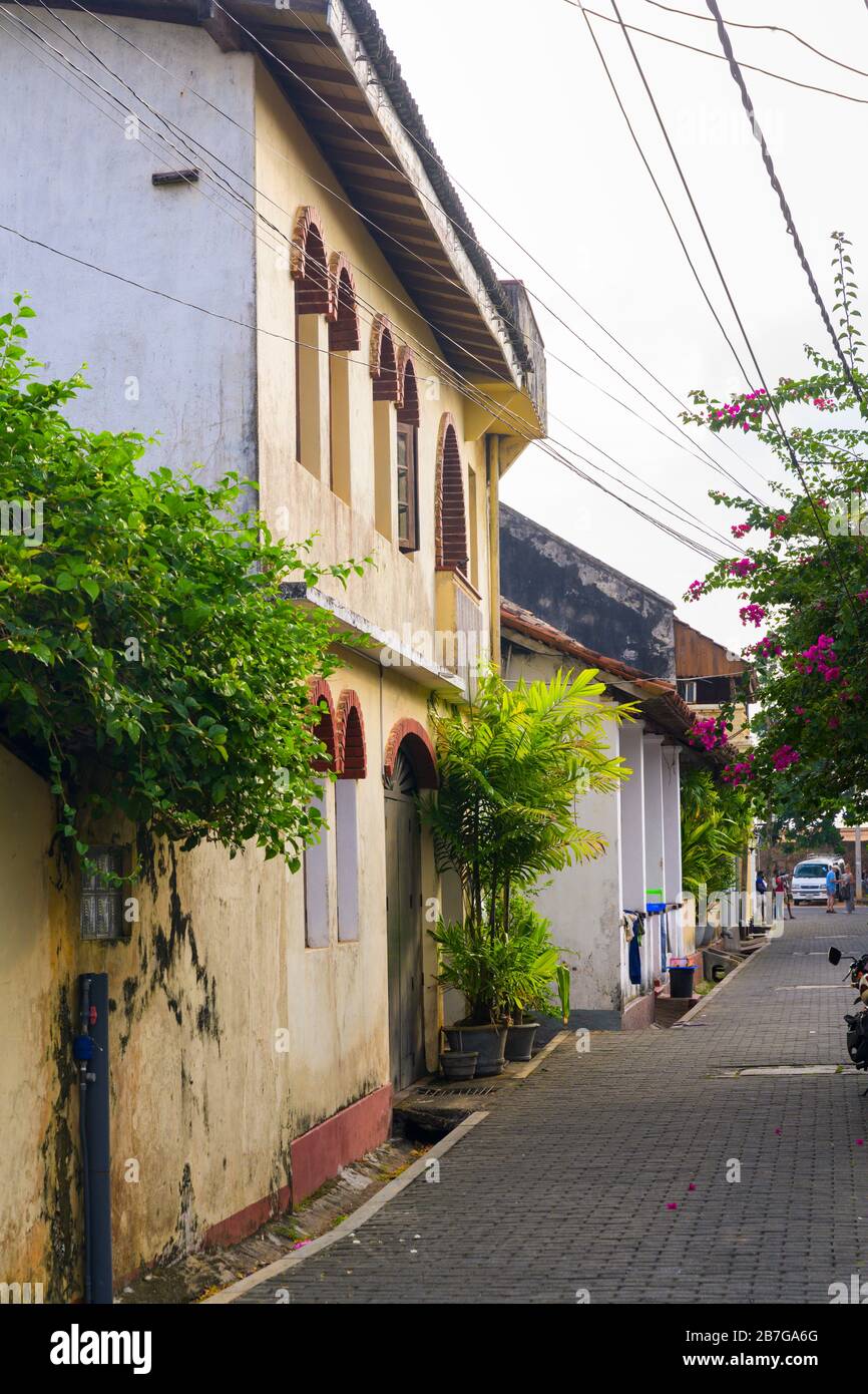 Sud Asia Sri Lanka Fort Galle centro città coloniale vecchio porto antico porto tipico backstreet scena open drain bougainvillea piantatrici di palme Foto Stock