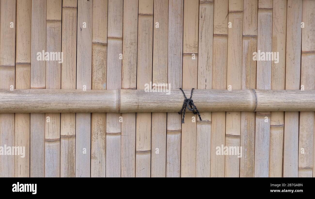 Sfondo di un muro fatto di bastoni di bambù allineati fianco a fianco. Foto Stock
