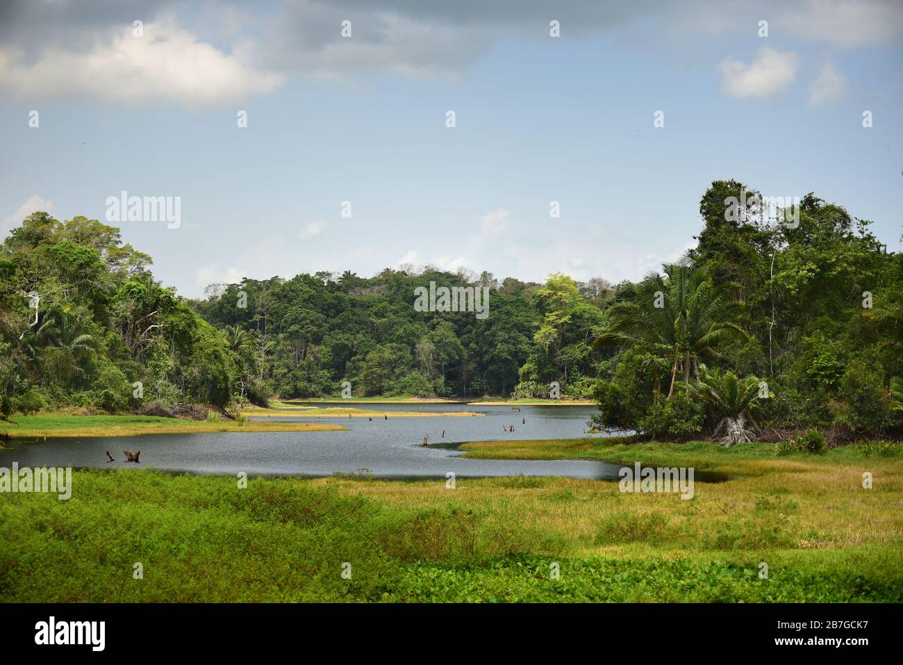 Vista sul Parco Nazionale di Soberania e sul fiume Chagres. Gamboa, Panama Foto Stock