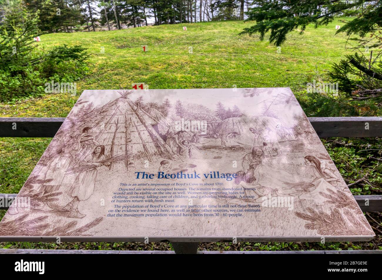 Un cartello interpretativo di fronte al sito del villaggio di Beothuk scavato a Boyd's Cove, Terranova. Foto Stock