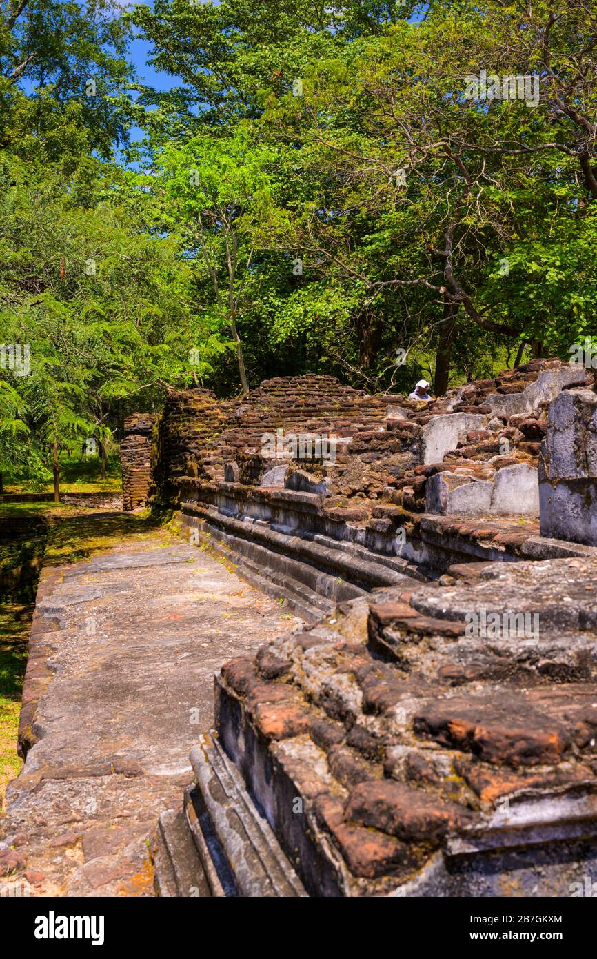 Asia Sri Lanka Polonnaruwa il Palazzo Quadrangle di Re Parakramabahu il Grande 1186 era 7 piani muro dettaglio alberi turistici Foto Stock