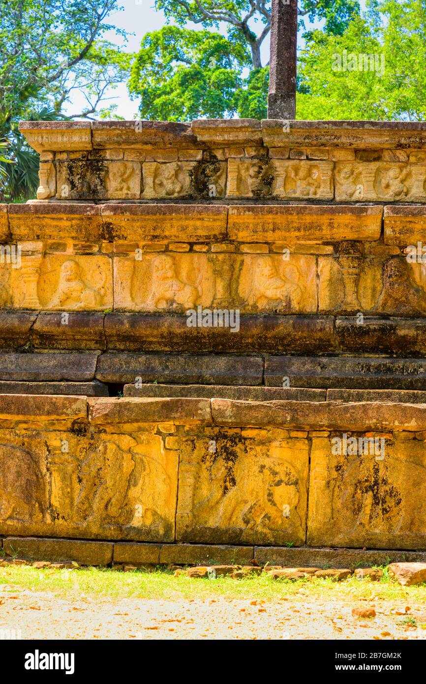 Asia Sri Lanka Polonnaruwa Royal Court of King Parakramabahu 3 strati scolpiti elefanti leoni immagini di nani nani nani Wamana parete dettaglio alberi cielo blu Foto Stock