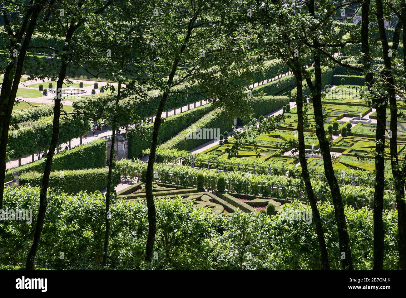 Viste impressionanti attraverso gli alberi ai giardini formali di Chateau de Villandry, Valle della Loira, Francia Foto Stock