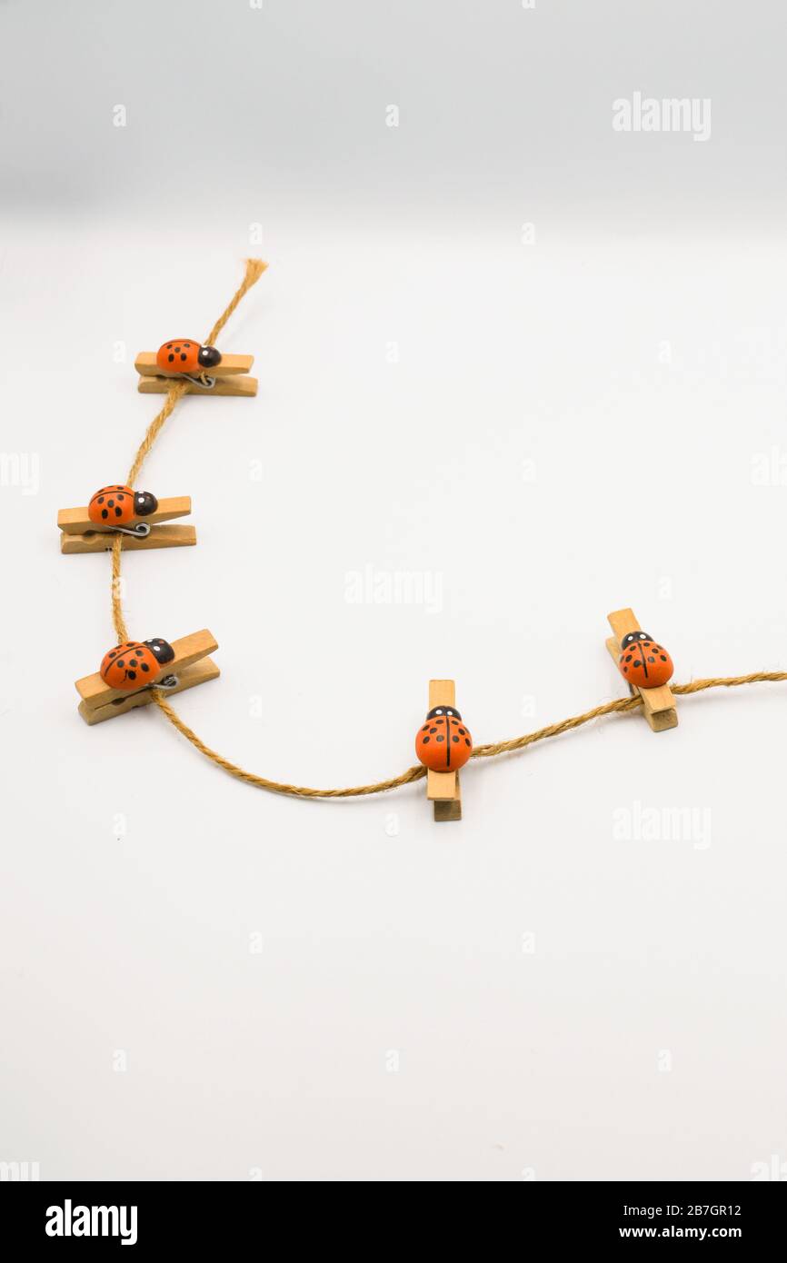 Un set di foto clip, naturali e graziosi motivi di scarafaggi su una corda Foto Stock