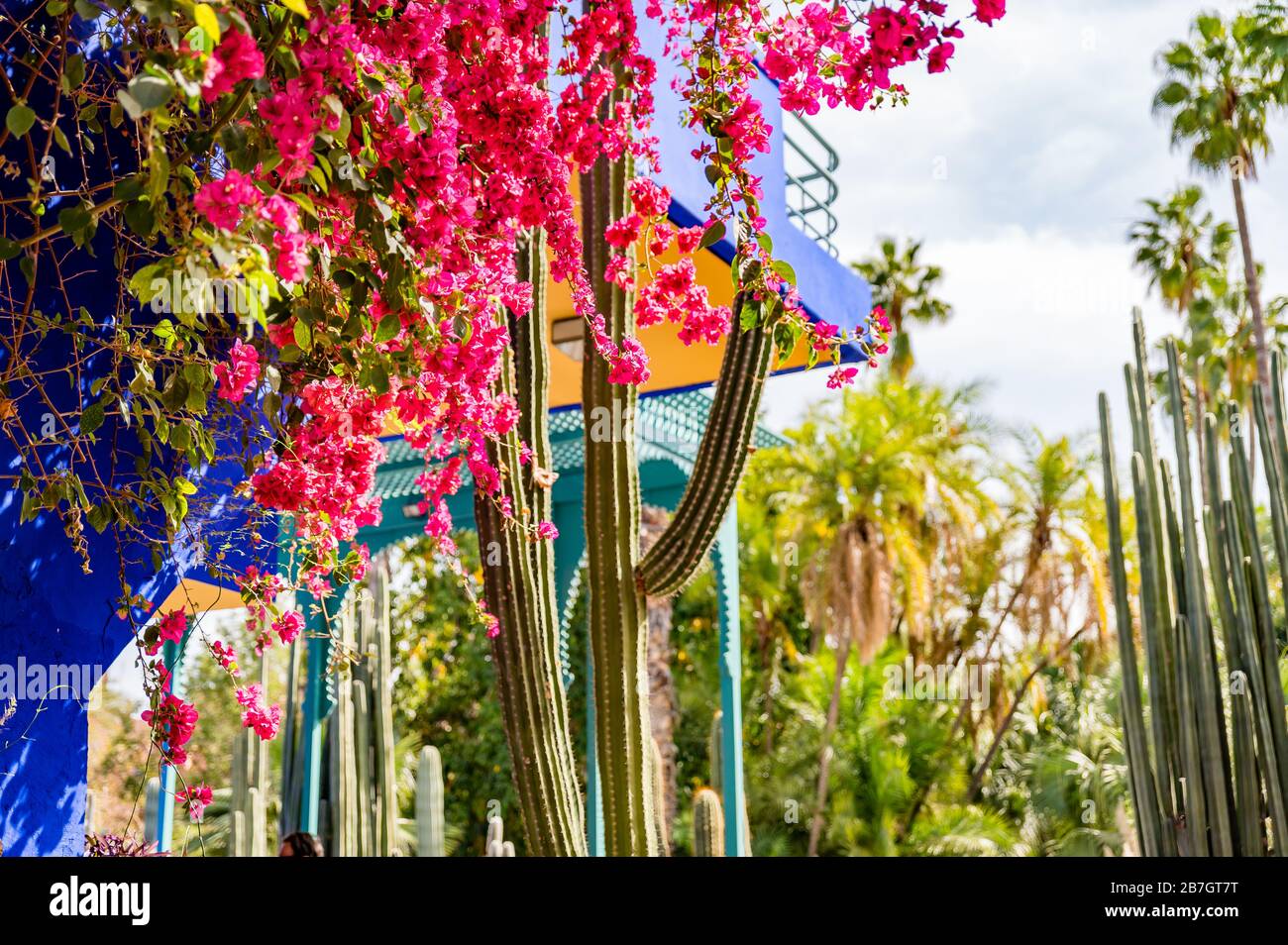 Jardin Majorelle a Marrakesh. Marocco Foto Stock